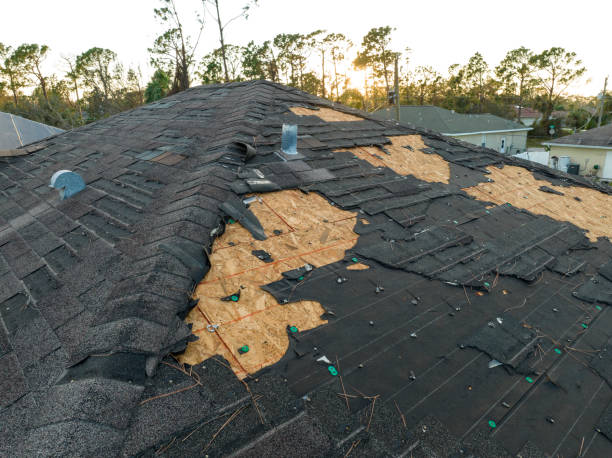 Best Storm Damage Roof Repair  in Farmers Loop, AK